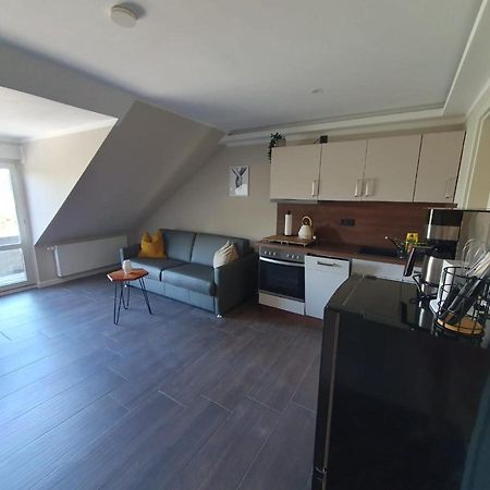 Neumuehler Hof- Ferienwohnung "Benjamin" Mit Grosser Privater Dachterasse Und Guter Anbindung In Die City Шверин Экстерьер фото